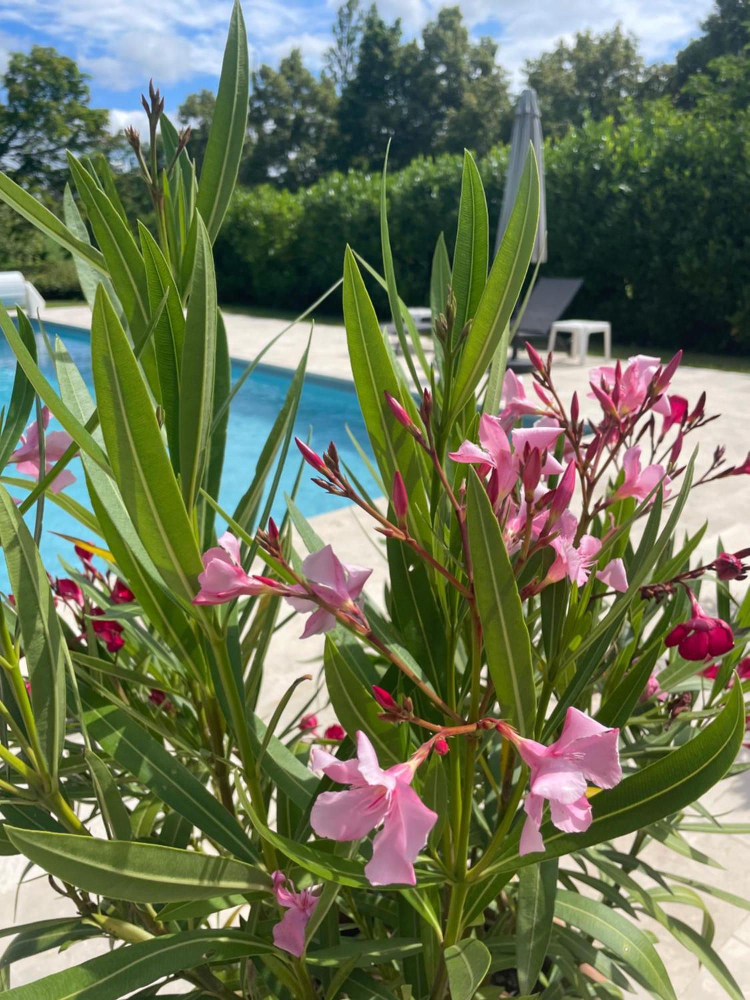 La Grange Du Barry Bed & Breakfast Belveze Екстериор снимка